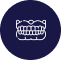 teeth